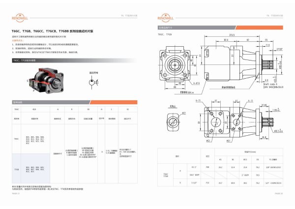 First page of T6/T7 Series Treble Pumps
