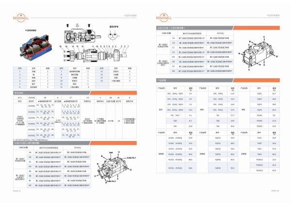 First page of V/VQ Series Double Pumps